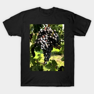 A ripe cluster of sweet and delicious merlot grapes. T-Shirt